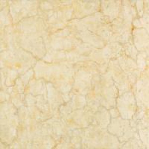 Gạch Trường Thịnh GENESIS SERIES CB88J122P